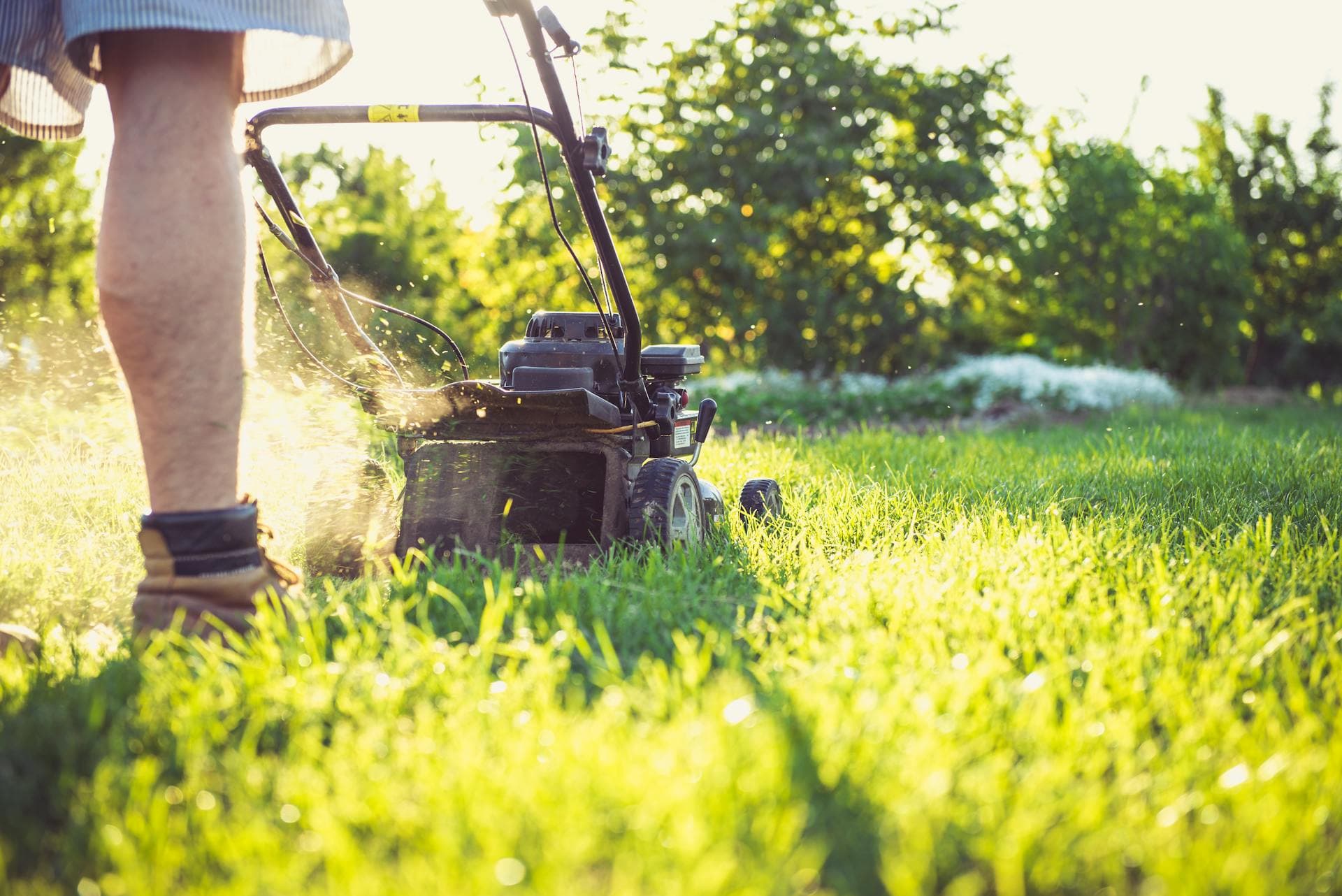 Landscaping automation