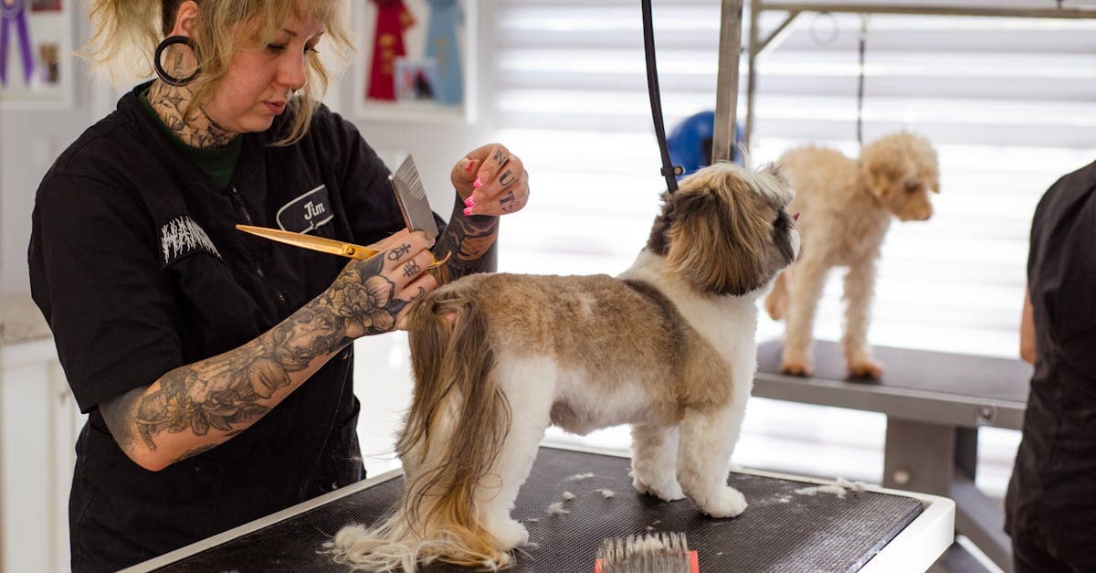 Pet Grooming automation