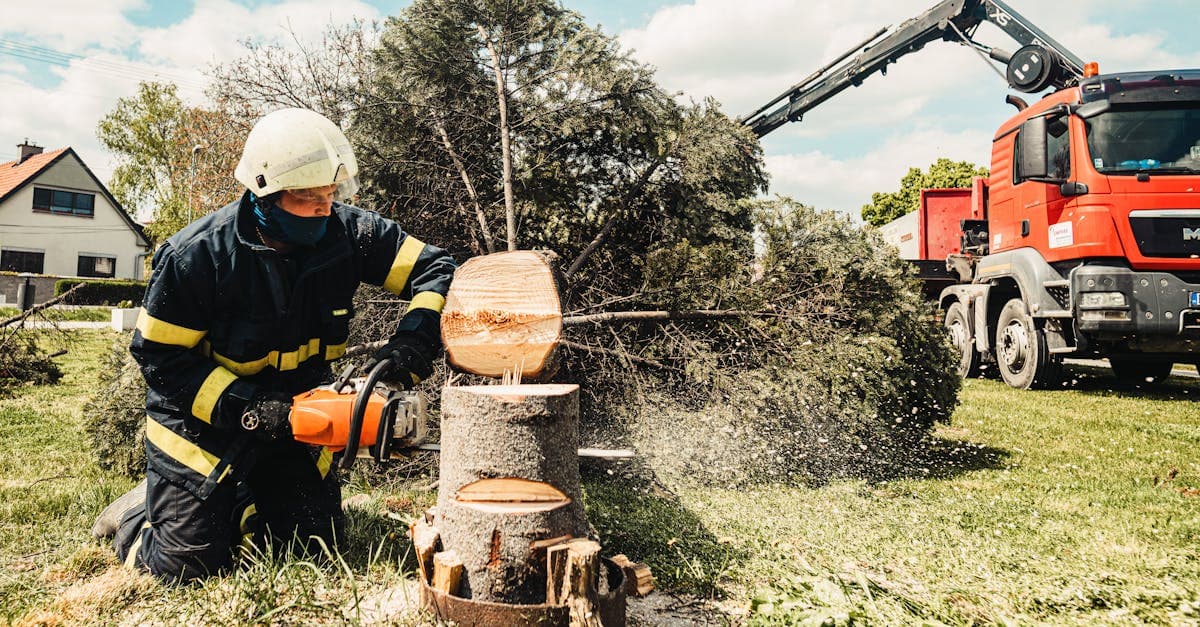 Tree Service automation